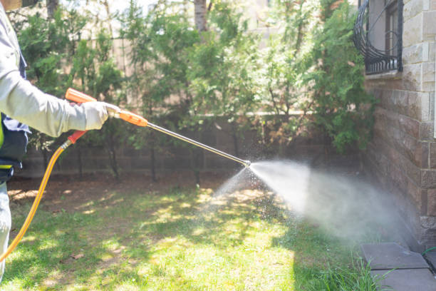 Professional Pest control in Red Chute, LA